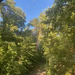 Jarski