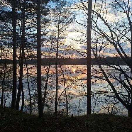 Jarski *
