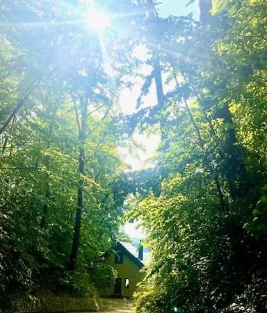 Jarski