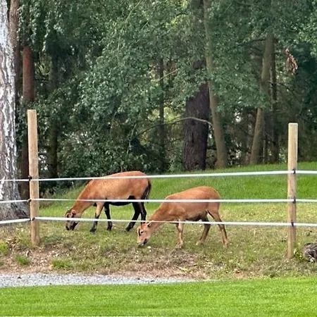 Ferienhaus Jarski *