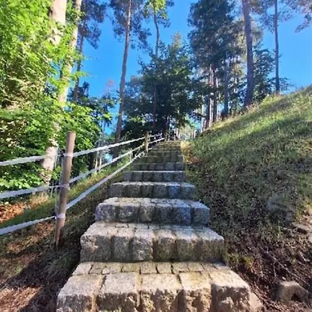 Jarski *