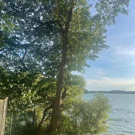 Jarski Stężyca
