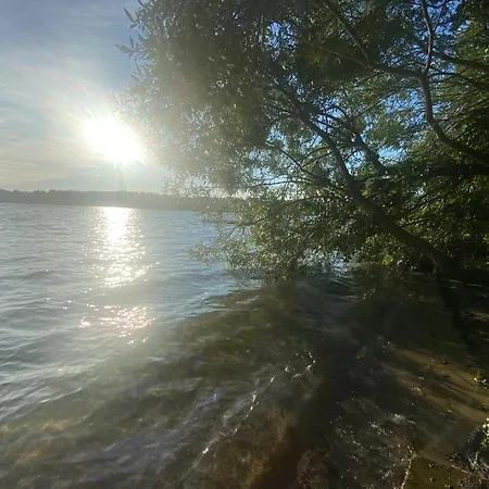 Jarski * Stężyca