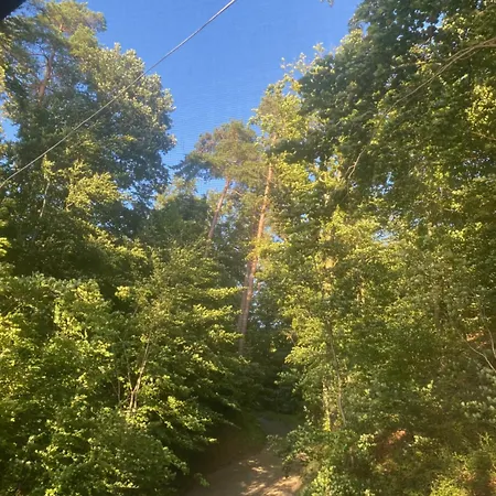 Jarski