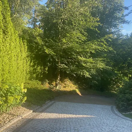 Jarski Stężyca